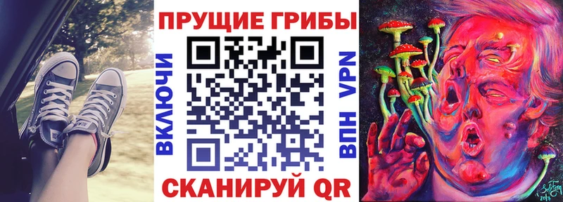Псилоцибиновые грибы GOLDEN TEACHER что такое наркотик Рыбинск
